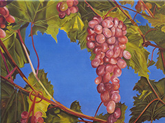 "Raisins"
Huile sur toile  43cm x 33cm